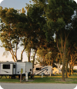 Caravan Park Accountants