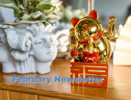 February 2026 Newsletter